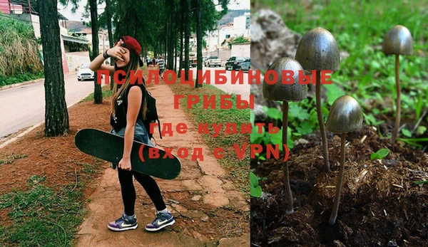 гашишное масло Гусиноозёрск