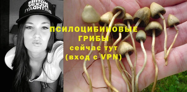 mdpv Гусев