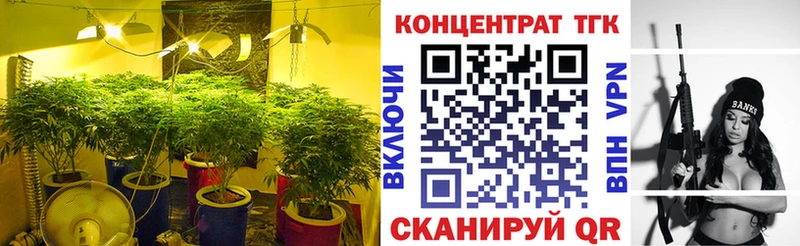 KRAKEN маркетплейс  Инсар  Дистиллят ТГК гашишное масло  купить закладку 