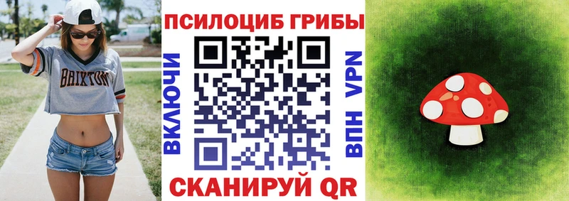 Псилоцибиновые грибы ЛСД  Инсар 